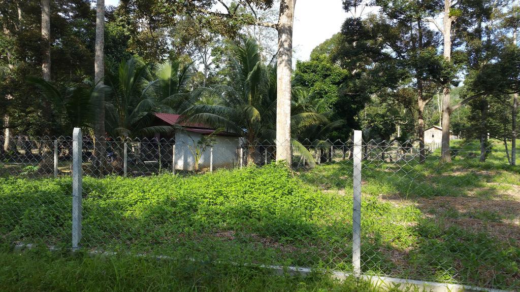 Chalet Kampong Semawar Kuala Kangsar Exteriör bild