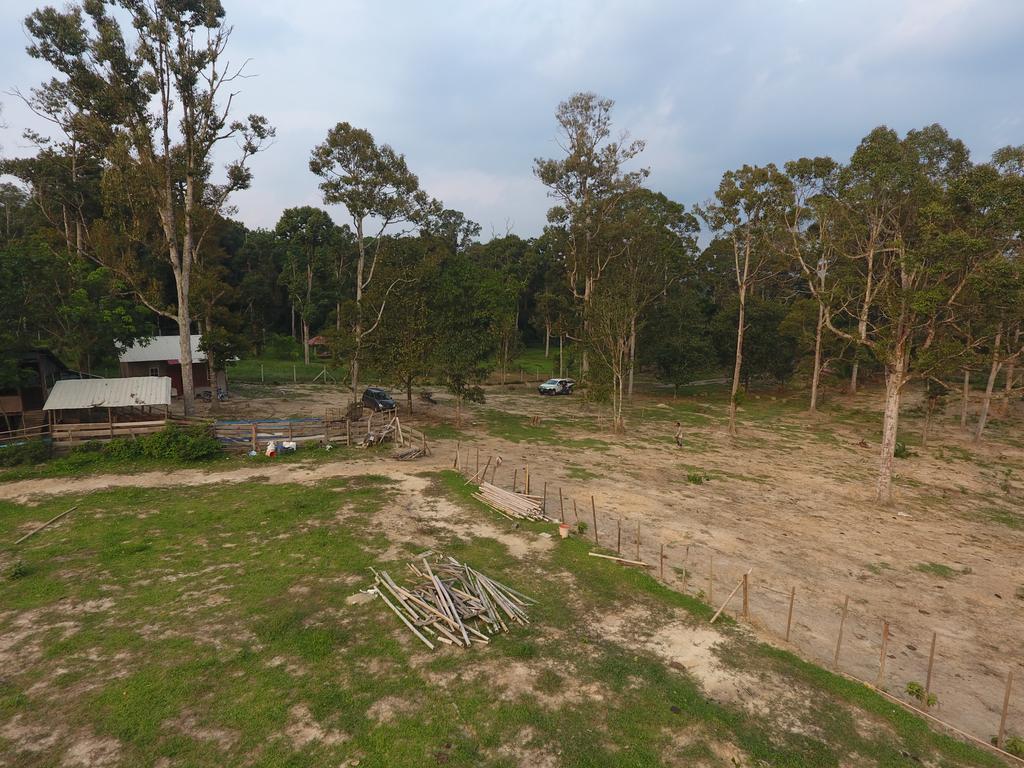 Chalet Kampong Semawar Kuala Kangsar Exteriör bild