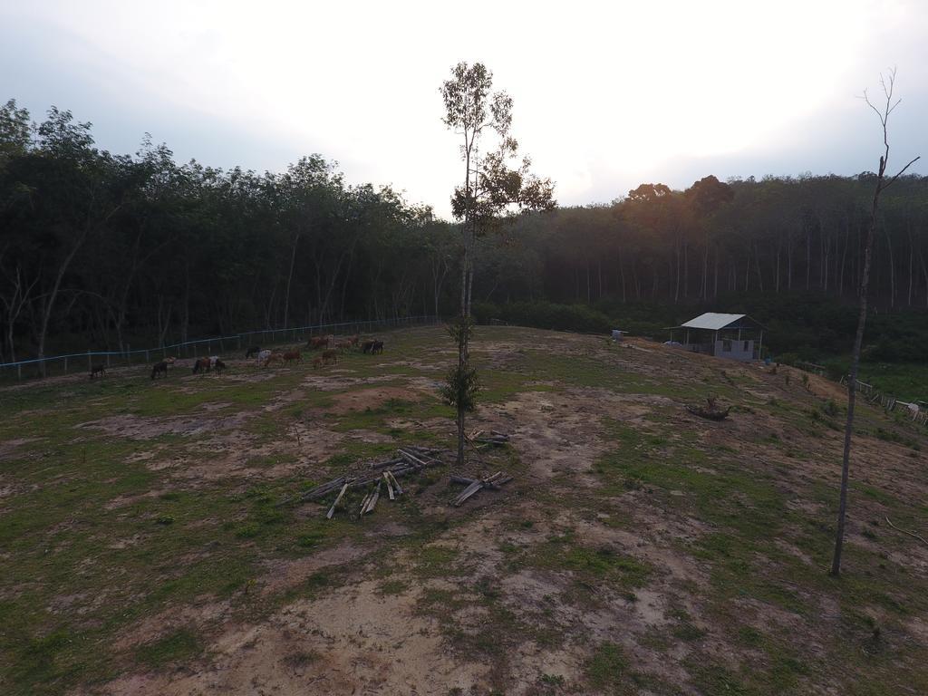 Chalet Kampong Semawar Kuala Kangsar Exteriör bild